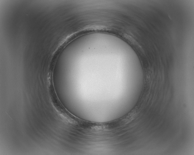 X0000054390160200508270043