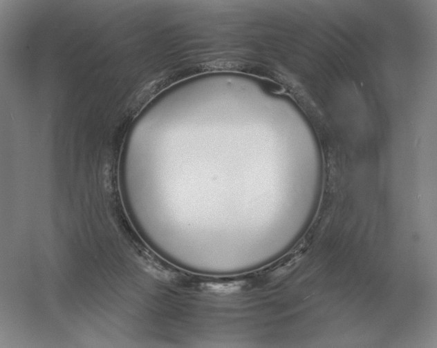 X0000054390161200508270043