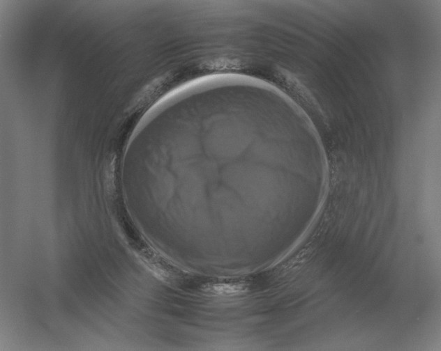 X0000054390163200508270043