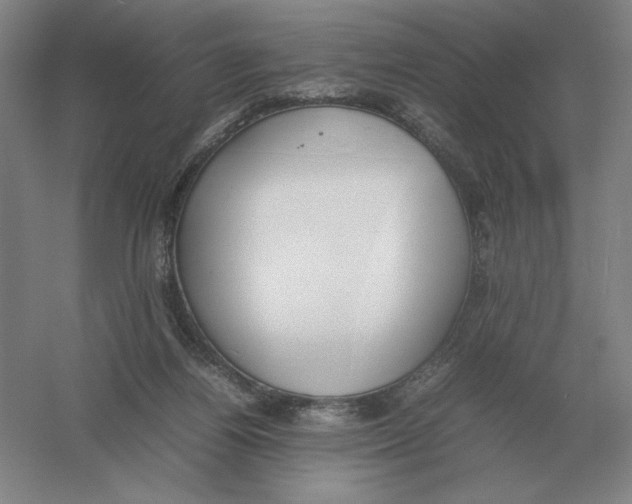 X0000054390164200508270043