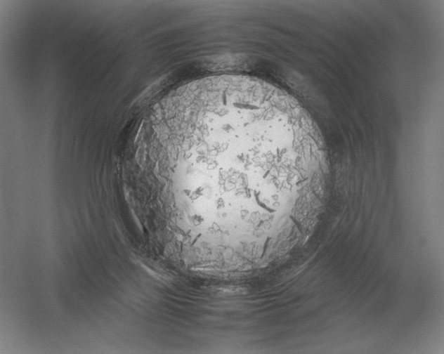 X0000054390165200508270043