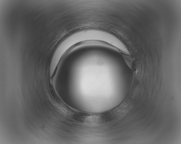 X0000054390168200508270043