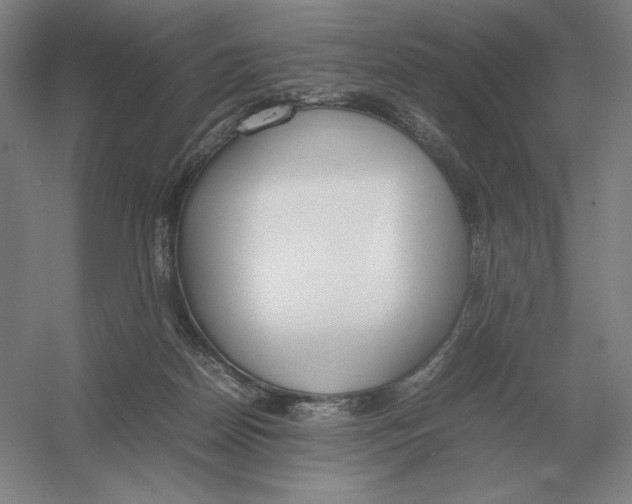 X0000054390170200508270043