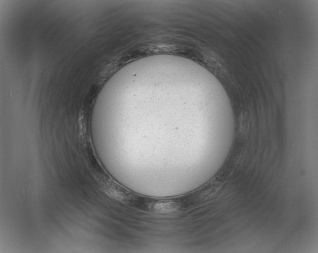 X0000054390173200508270043