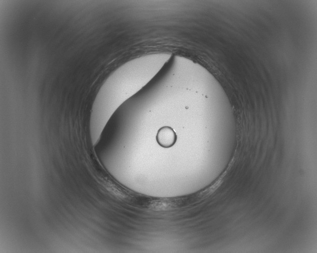 X0000054390174200508270043