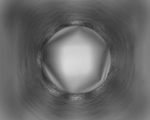 X0000054390175200508270043