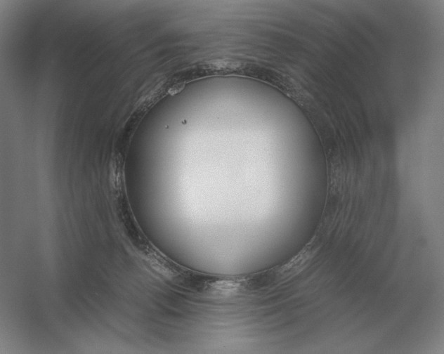 X0000054390176200508270043