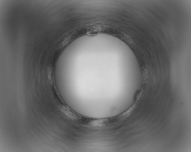 X0000054390178200508270043