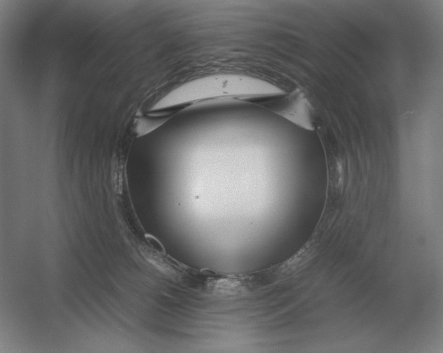 X0000054390180200508270043
