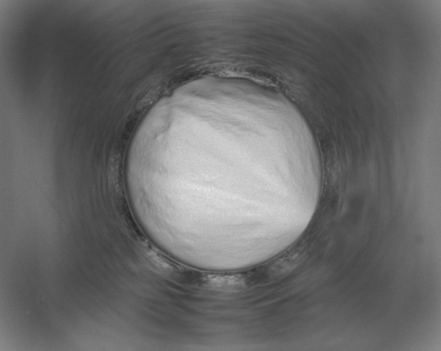 X0000054390185200508270044