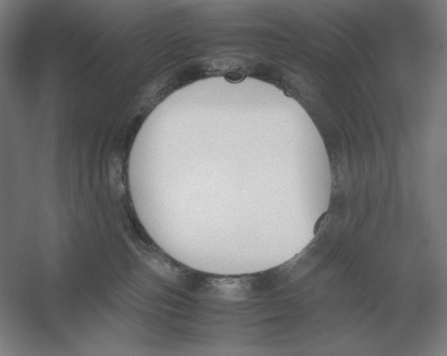 X0000054390187200508270044
