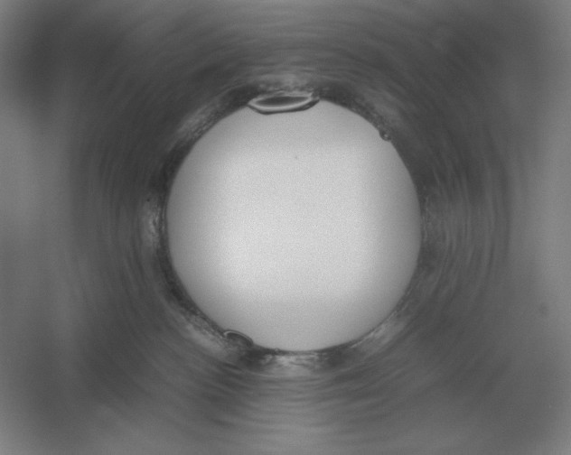 X0000054390188200508270044