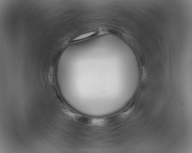 X0000054390189200508270044