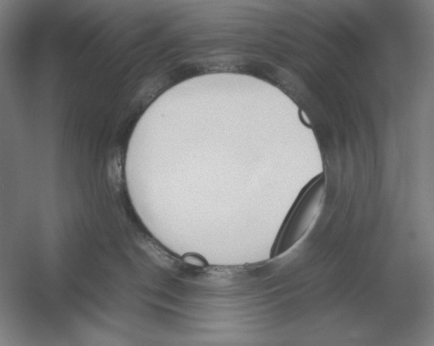 X0000054390190200508270044