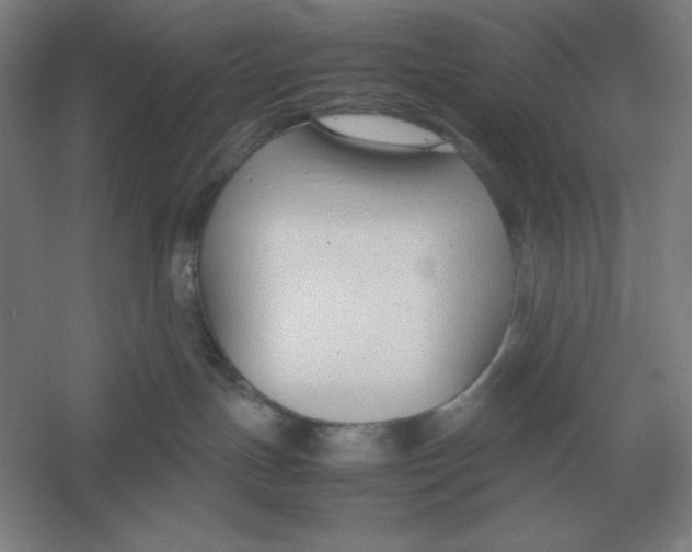 X0000054390191200508270044