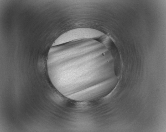 X0000054390192200508270044