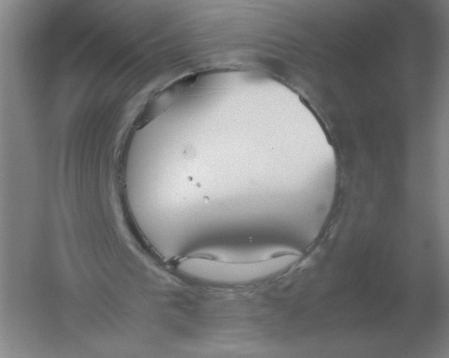 X0000054390193200508270043