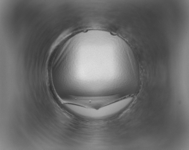 X0000054390198200508270043