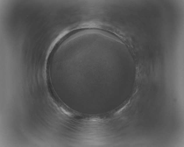 X0000054390200200508270043