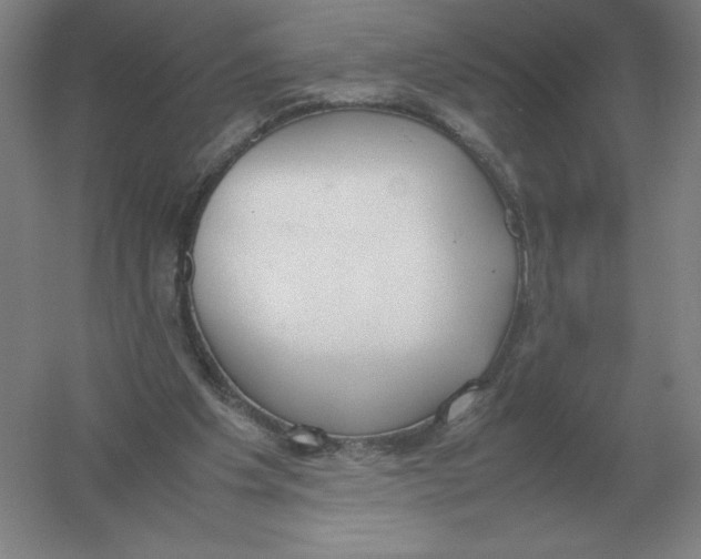 X0000054390201200508270043