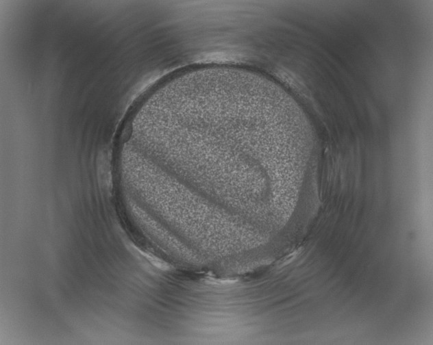 X0000054390204200508270043
