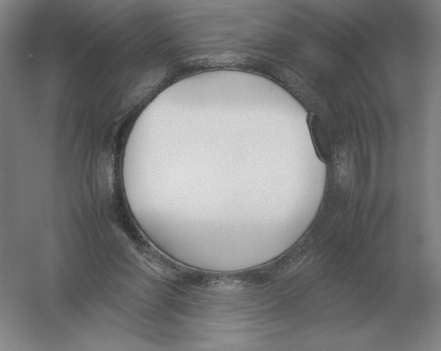 X0000054390206200508270043