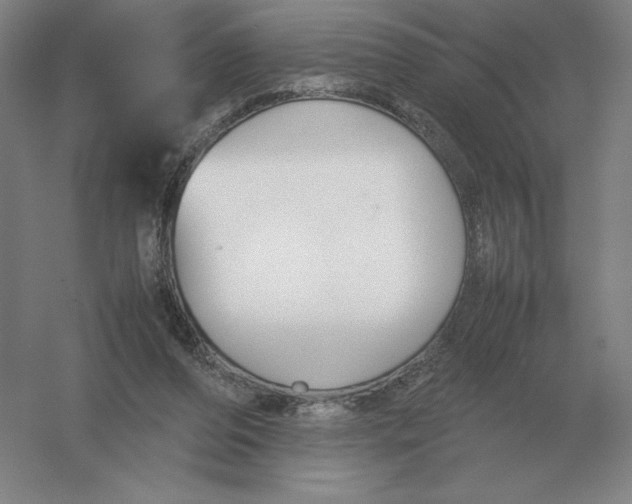 X0000054390208200508270043