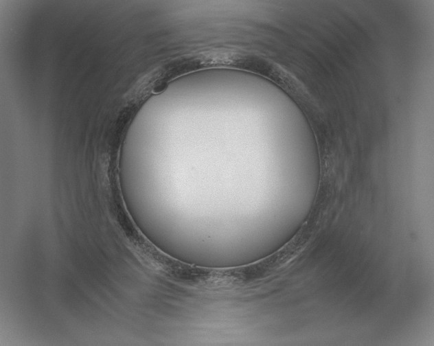 X0000054390209200508270043