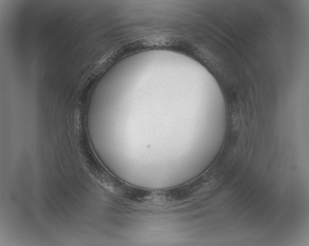 X0000054390211200508270042