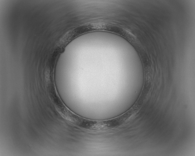 X0000054390213200508270042