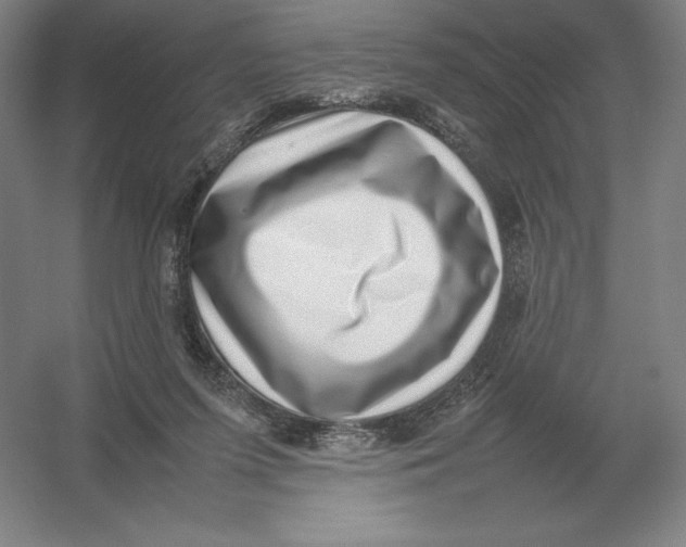 X0000054390215200508270042