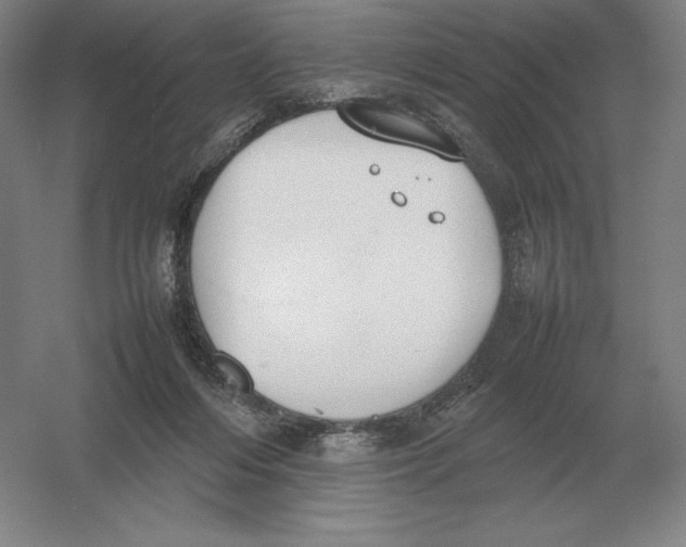 X0000054390216200508270042