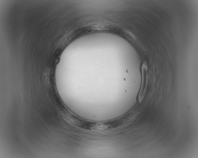X0000054390217200508270042