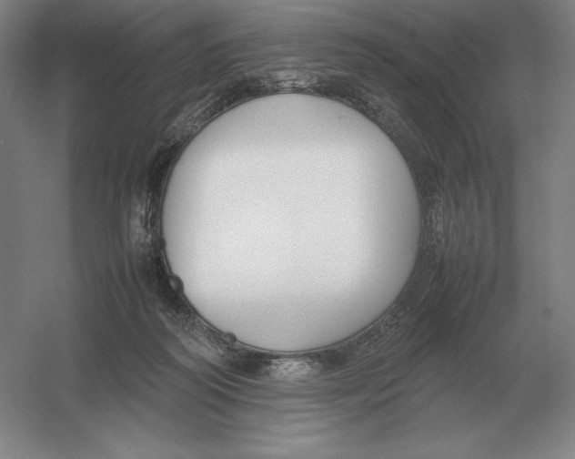 X0000054390218200508270042