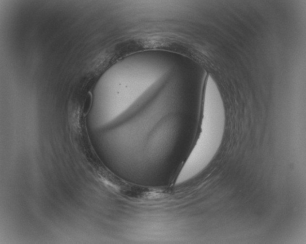 X0000054390219200508270042