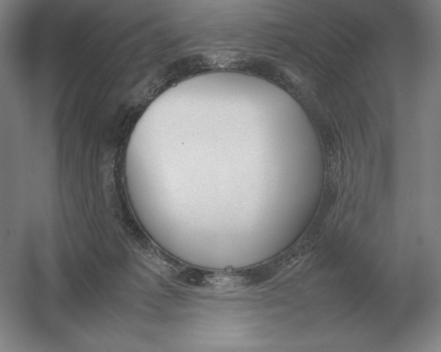 X0000054390221200508270042