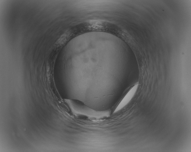 X0000054390223200508270042