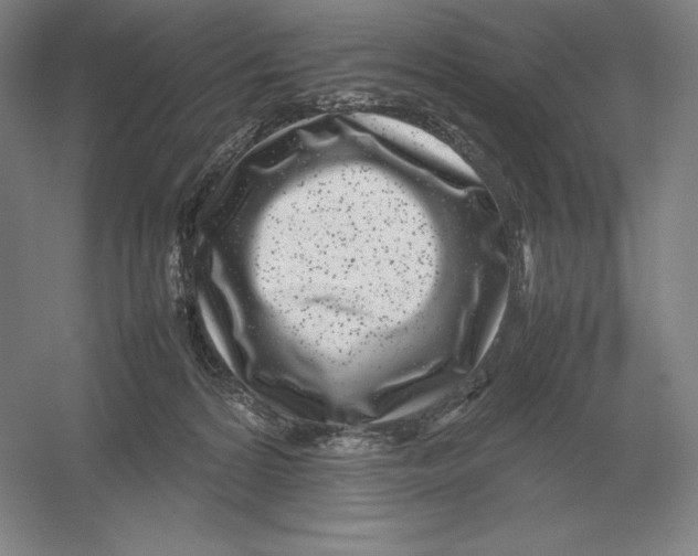 X0000054390224200508270042
