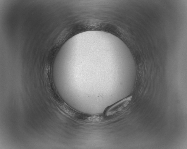 X0000054390225200508270042