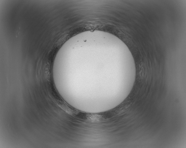 X0000054390226200508270042