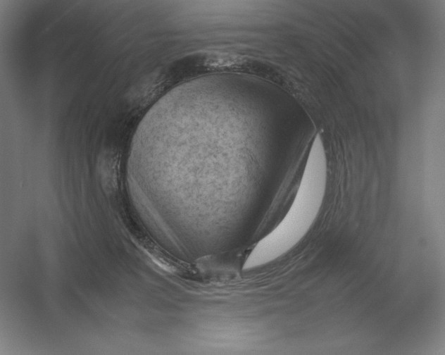 X0000054390227200508270042