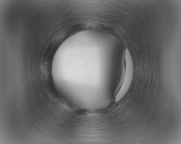 X0000054390228200508270042
