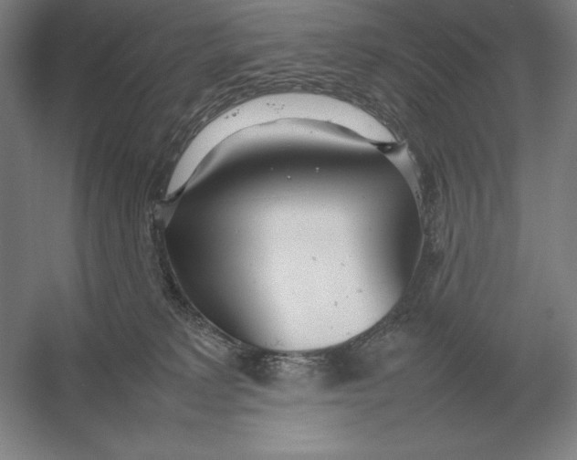 X0000054390229200508270042