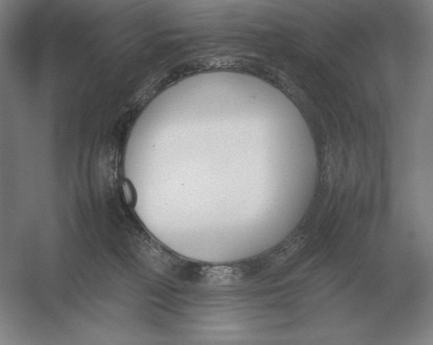X0000054390230200508270042