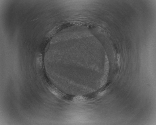 X0000054390231200508270042