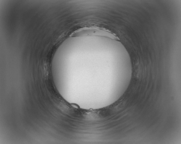 X0000054390232200508270042