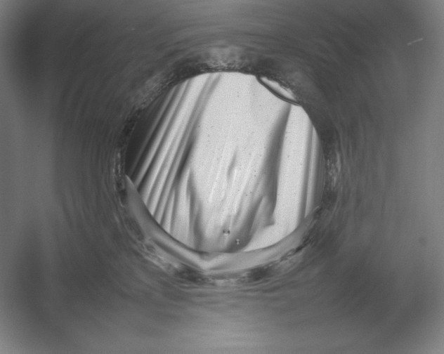 X0000054390233200508270042