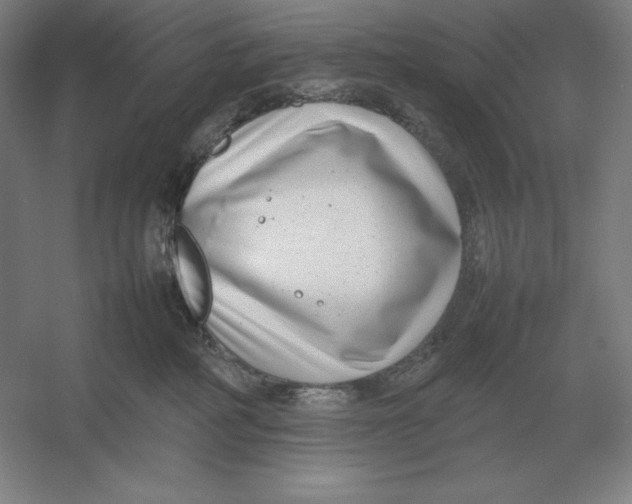X0000054390234200508270042
