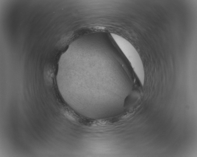 X0000054390235200508270042
