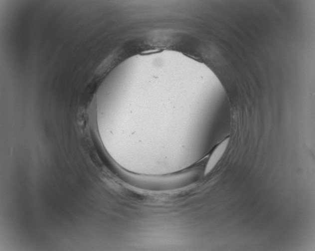 X0000054390237200508270042